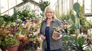 Tractor Supply Martha Stewart